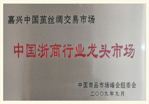 浙商行業(yè)龍頭市場