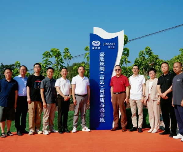 嘉欣絲綢（高縣）高品質(zhì)蠶?；卣浇遗?！